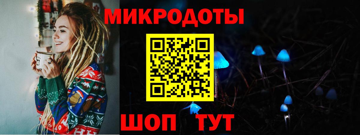 Псилоцибиновые грибы Cubensis  Вход с VPN  Шебекино  Псилоцибиновые грибы Psilocybe 