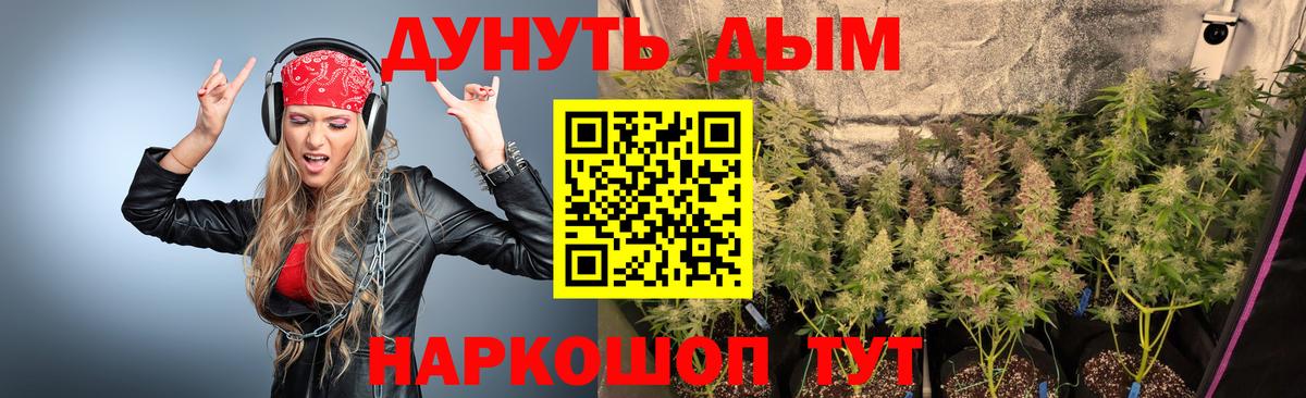Каннабис AK-47 Шебекино